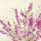 ihr-heather-cream-lunch-napkins - IHR Lunch Napkins Heather Cream