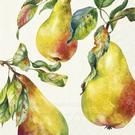 ihr-home-grown-pears-cream-lunch-napkins - IHR Lunch Napkins Home Grown Pears Cream