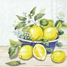 ihr-lemon-in-bowl-mint-cocktail-napkins - IHR Lemon In Bowl Mint Cocktail Napkins 