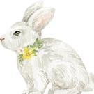ihr-lunch-napkins-bunny-shaped  - IHR Lunch Napkins Bunny Shaped 