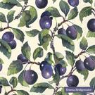 ihr-lunch-napkins-damsons-cream - IHR Lunch Napkins Damsons Cream