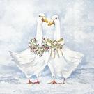ihr-lunch-napkins-two-goose-friends - IHR Christmas Lunch Napkins Two Goose Friends