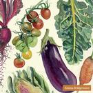 ihr-vegetable-garden-cream-lunch-napkins - IHR Lunch Napkins Vegetables Garden Cream