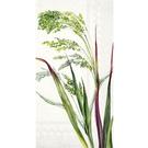 ihr-willa-cream-guest-towel - IHR Guest Towels Willa Cream
