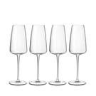 luigi-bormioli-talismano-champagne-flutes-set-of-4 - Luigi Bormioli Talismano Champagne Flutes Set of 4