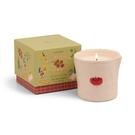 paddywax-bistro-heirloom-tomato-candle-lemon-sage - Paddywax Bistro Heirloom Tomato Candle Lemon & Sage