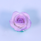 pme-white-sugar-roses-set6-45mm - PME White Sugar Roses Set of 6 