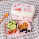 rex-lunch-box-unicorn  - Rex Lunch Box Unicorn 