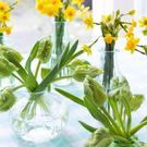 talking-tables-clear-round-glass-bud-vase-8cm - Talking Tables Clear Round Glass Bud Vase 8cm