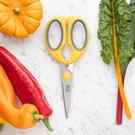 te-kitchen-scissors-soft-grip - Taylor's Eye Soft Grip Kitchen Scissors