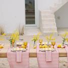 torres-nova-barra-pink-stripe-table-runner-50x160cm - Torres Novas Barra Pink Stripe Table Runner 50x160cm