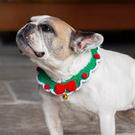 tt-christmas-crochet-dog-collar - Talking Tables Christmas Crochet Dog Collar