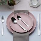 viners-everyday-purity-dinner-forks - Viners Everyday Purity Dinner Forks (Set of 4)