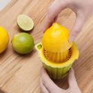 zeal-citrus-juicer - Zeal Citrus Juicer