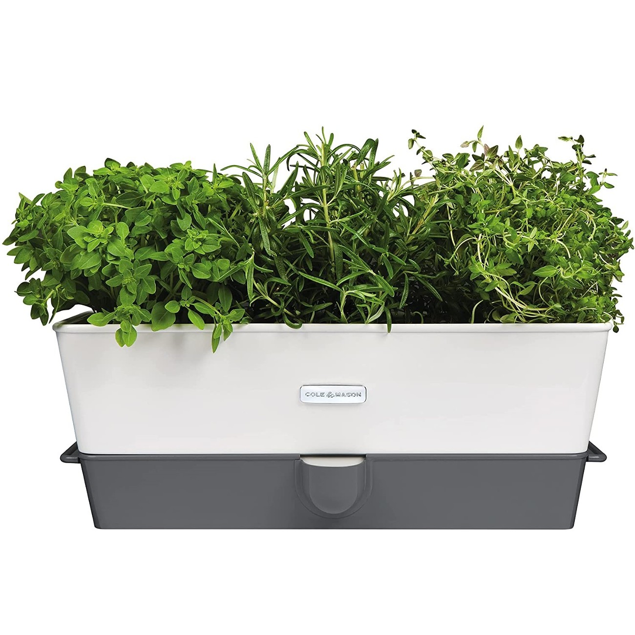 Cole & Mason Burwell SelfWatering Herb Keeper Triple Potted