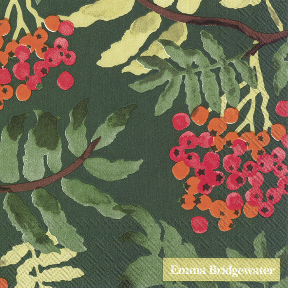 IHR Cocktail Napkins Emma Bridgewater Rowan Green